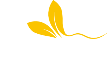 MORR